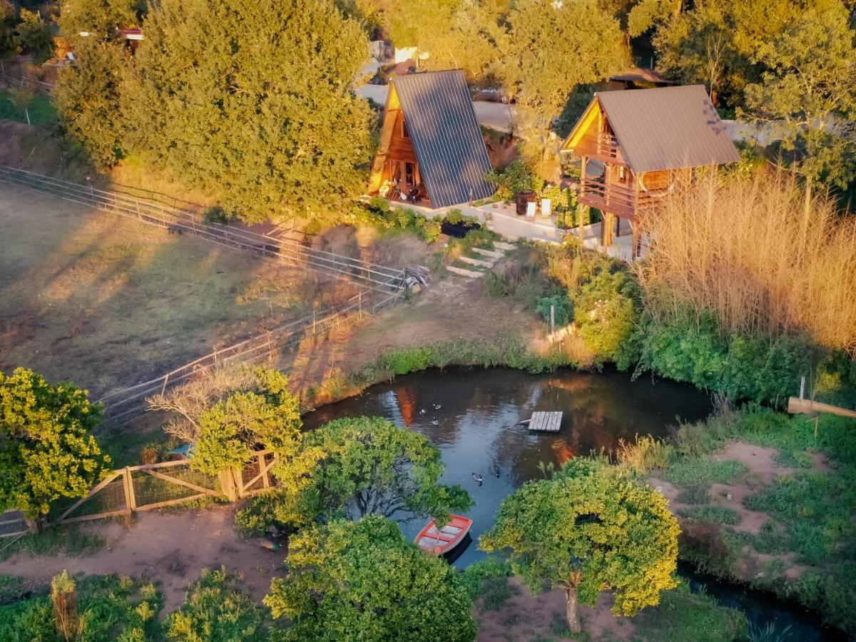 Casa Da Avo - Vale Da Silva Villas Albergaria-a-Velha Εξωτερικό φωτογραφία