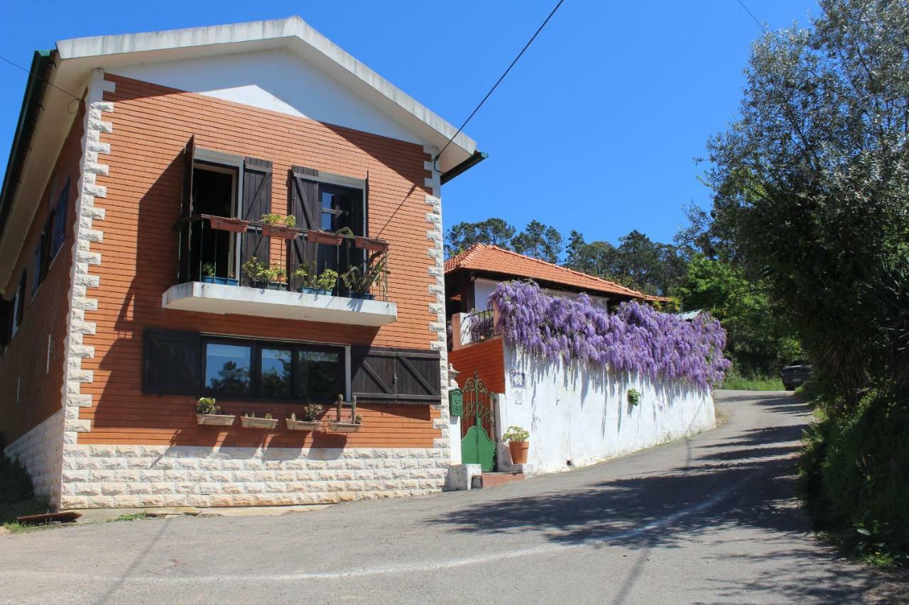 Casa Da Avo - Vale Da Silva Villas Albergaria-a-Velha Εξωτερικό φωτογραφία